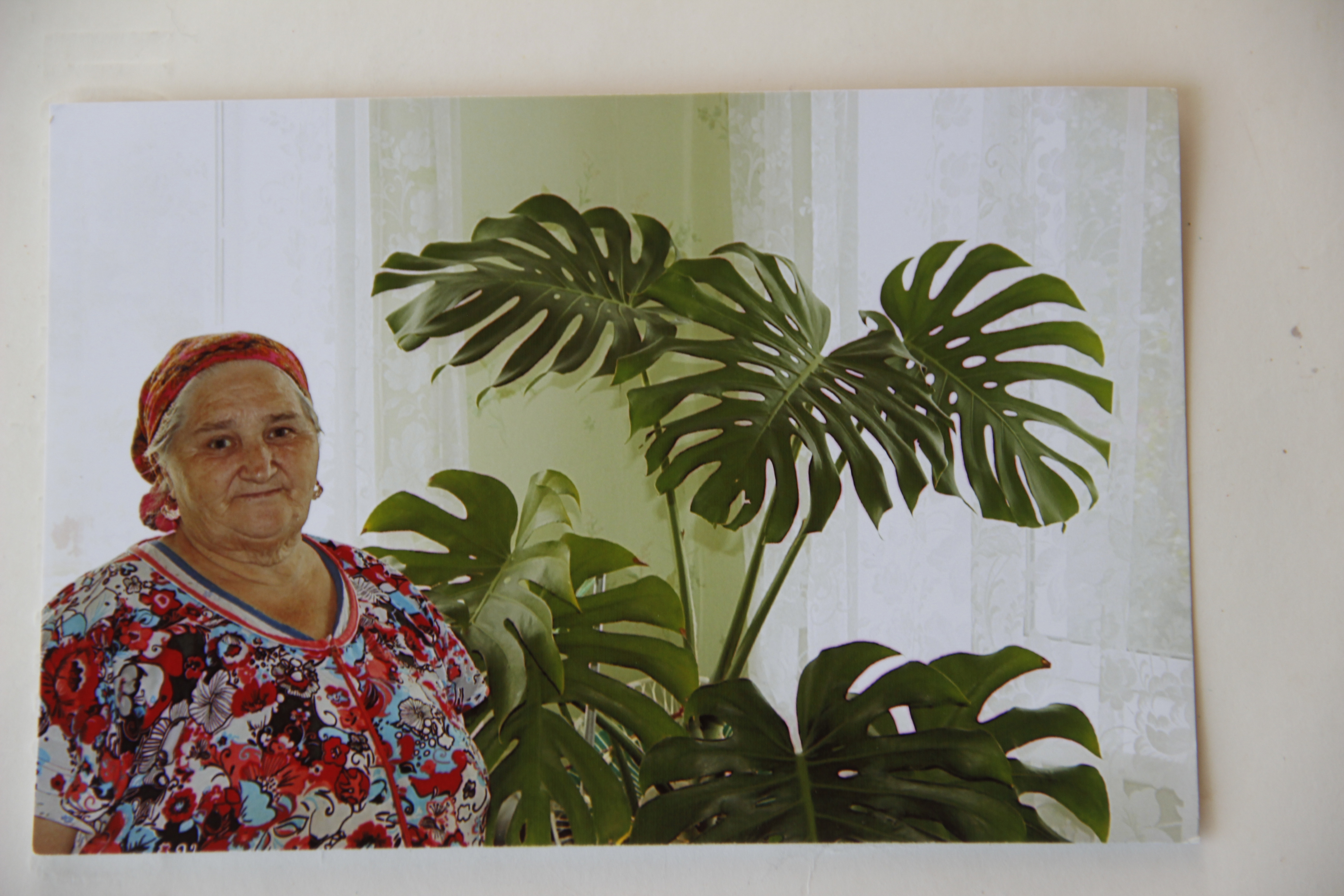 Хайбуллина Альфия Хайрутдиновна
